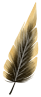 plume aquarelle peinture à la main png