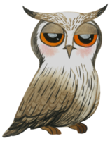 Cute owl animal character watercolor png