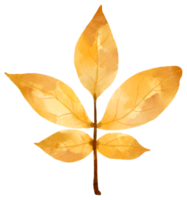 herbst herbst blatt pflanze aquarell png