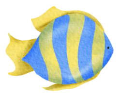 nautische aquarell meereslebewesen handgemalt png