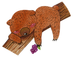 lindo oso animal carácter acuarela png