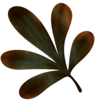 herfst element waterverf ornament png