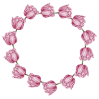 vattenfärg blommig botanisk rosa tulpan png