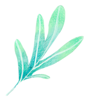 foliage watercolor leaf hand paint png