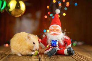 cute fluffy hamster and Santa Claus on wooden background bright bokeh festive atmosphere photo