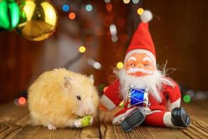 cute fluffy hamster and Santa Claus on wooden background bright bokeh festive atmosphere photo