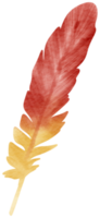 Feather watercolor hand paint png