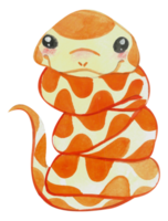 Cute animal character watercolor png