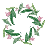 aquarela rosa floral botânico png