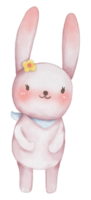 Cute rabbit animal character watercolor png
