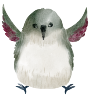 Vogelhaus Aquarell handgemalt png