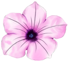 waterverf bloemen botanisch hand- verf png