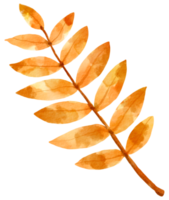 Autumn Fall leaf plant watercolor png