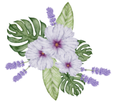 aquarela violeta floral botânico png