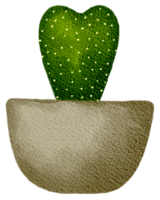 cactus sappig fabriek waterverf png