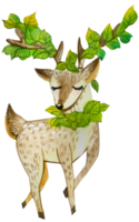 lindo personaje animal acuarela png