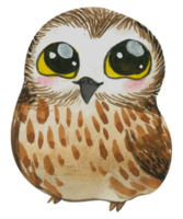 Cute owl animal character watercolor png