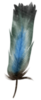 Feather watercolor hand paint png