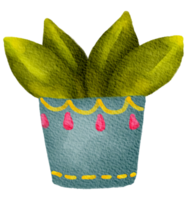 kaktus saftig växt vattenfärg png