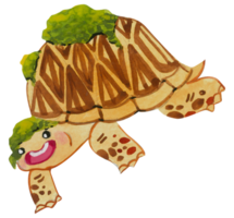 mignon, tortue, animal, caractère, aquarelle png