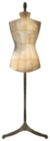 årgång element vattenfärg prydnad png