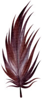 Feather watercolor hand paint png