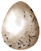 Egg watercolor hand paint png