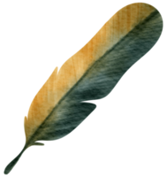 Feather watercolor hand paint png