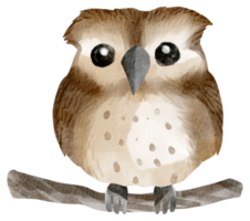 Vogelhaus Aquarell handgemalt png