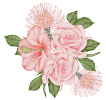 aquarela rosa floral botânico