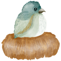 vogelhuisje waterverf hand- geschilderd png