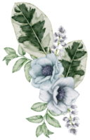 acuarela floral botánico png