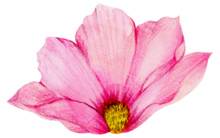 waterverf bloemen botanisch hand- verf png