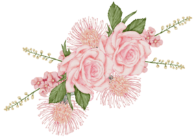 waterverf roze bloemen botanisch png