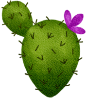 cactus succulento pianta acquerello png