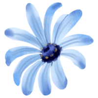 waterverf bloemen botanisch hand- verf png