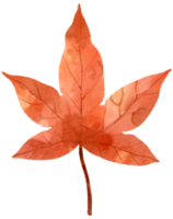 Autumn Fall leaf plant watercolor png