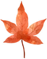 herbst herbst blatt pflanze aquarell png