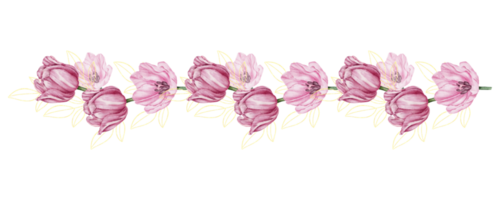Watercolor Floral Botanical pink tulip png