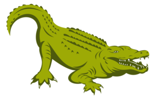 Alligator kauert isoliert png