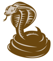 cobra royal enroulé sur le point de frapper png