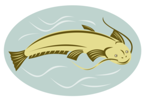 catfish jumping oval png