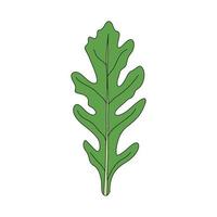 Fresh arugula in flat style. Arugula salad. Vector illustration