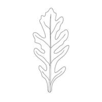 Fresh sketch of arugula, hand drawn on a white background. Arugula salad. Vector illustration