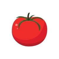 Red tomato in flat style. Vector illustration