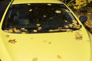 hojas en un coche amarillo. las hojas de otoño cubrieron el transporte. taxi en el estacionamiento. capó del coche. foto