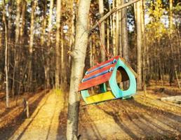 comedero para pájaros de casa de colores en un árbol en el bosque. cuidar y alimentar a las aves foto