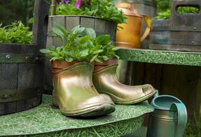 maceta de flores hecha a mano con viejas botas de goma en el jardín de verano. concepto ecológico foto