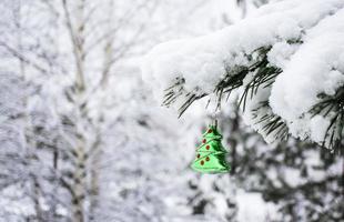 Christmas background with a Christmas toy on a snowy pine branch with a copy space photo