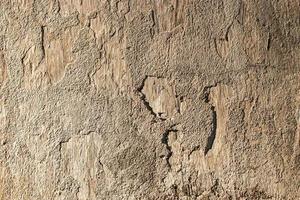 Close up retro color cement wall panoramic background texture for show or advertise or promote product and content on display and web design element concept photo